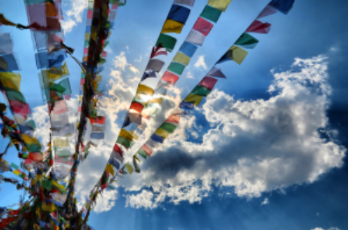 Article : Népal: comment un réseau collaboratif favorise la philanthropie